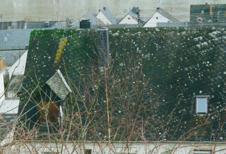 Asbest Dach Asbestzement